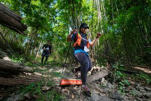 BIB: 
                            <button type="button" onclick="openModal(19392810)" class="btn btn-primary btn-sm float-right btn-popup" data-toggle="modal" data-target=".modal-high-quality">
                        <i class="fas fa-shopping-cart"></i> Add to Cart
                    </button>
                                            <button type="button" onclick="isThisMe(19392810, true)" class="btn btn-success btn-sm float-right btn-popup btn-isme hidden" data-toggle="tooltip" data-placement="bottom" title="นี่คือรูปของคุณใช่ไหม คลิกที่นี่เพื่อเอาเข้าอัลบั้ม">
                        <i class="fas fa-plus"></i> Add to album
                    </button>
                    <button type="button" onclick="isThisMe(19392810, false)" class="btn btn-warning btn-sm float-right btn-popup btn-isnotme hidden">
                        <i class="fas fa-ban"></i> Remove from album
                    </button>